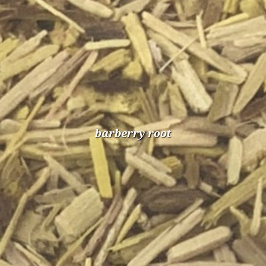 Barberry Root | Liver Cleanse & Digestive Aid