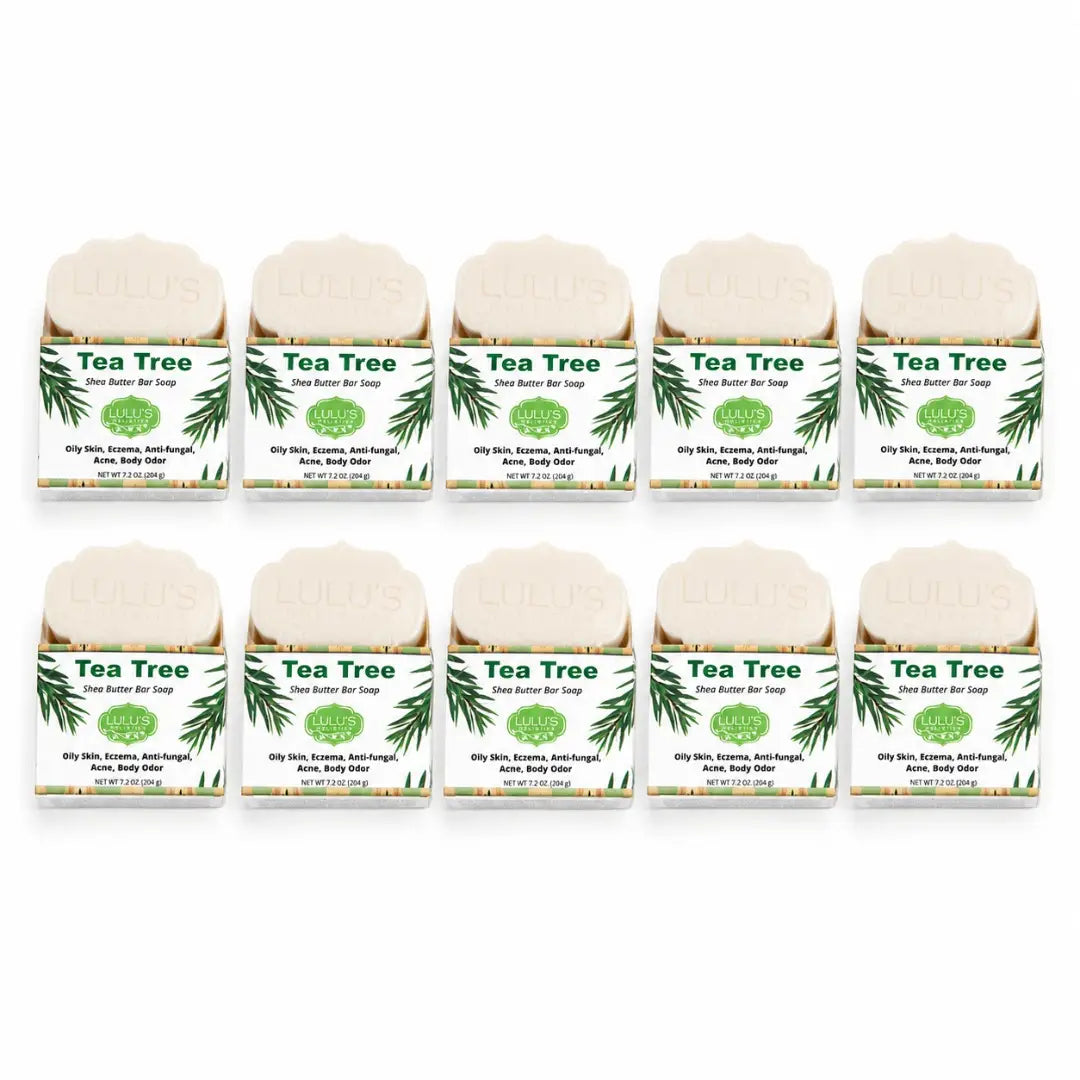 Coconut Milk Shea Butter Bar Soap – Moisturizing Cleanse